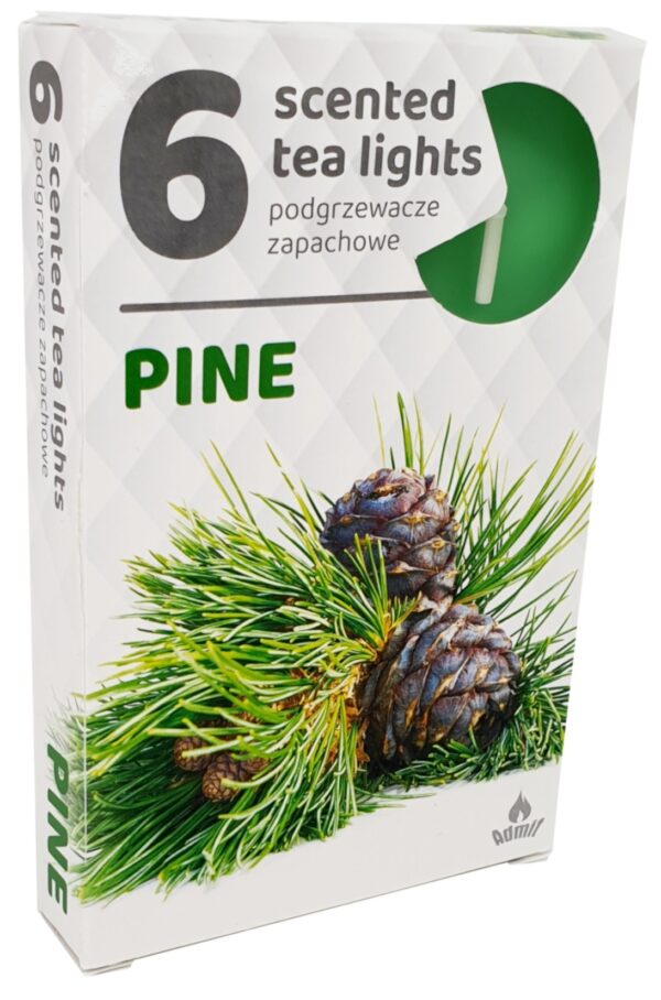 Vonné čajové sviečky 6ks-Pine - Image 1