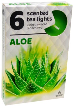Vonné čajové sviečky 6ks-Aloe