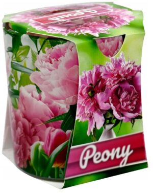 Sviečka v skle 90g-Peony